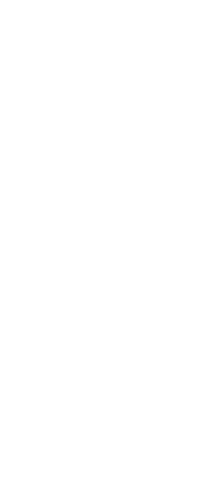 贅沢な宴会コース